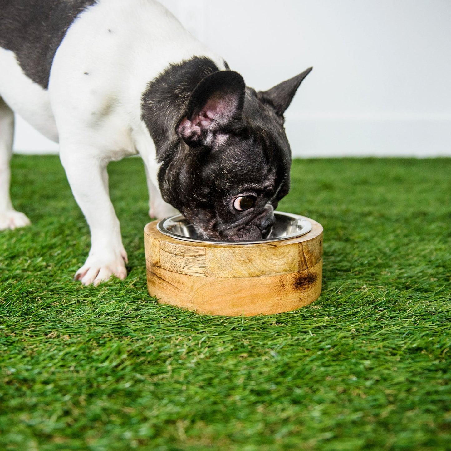 Mango Wood Bowl Single - GreenPetGear