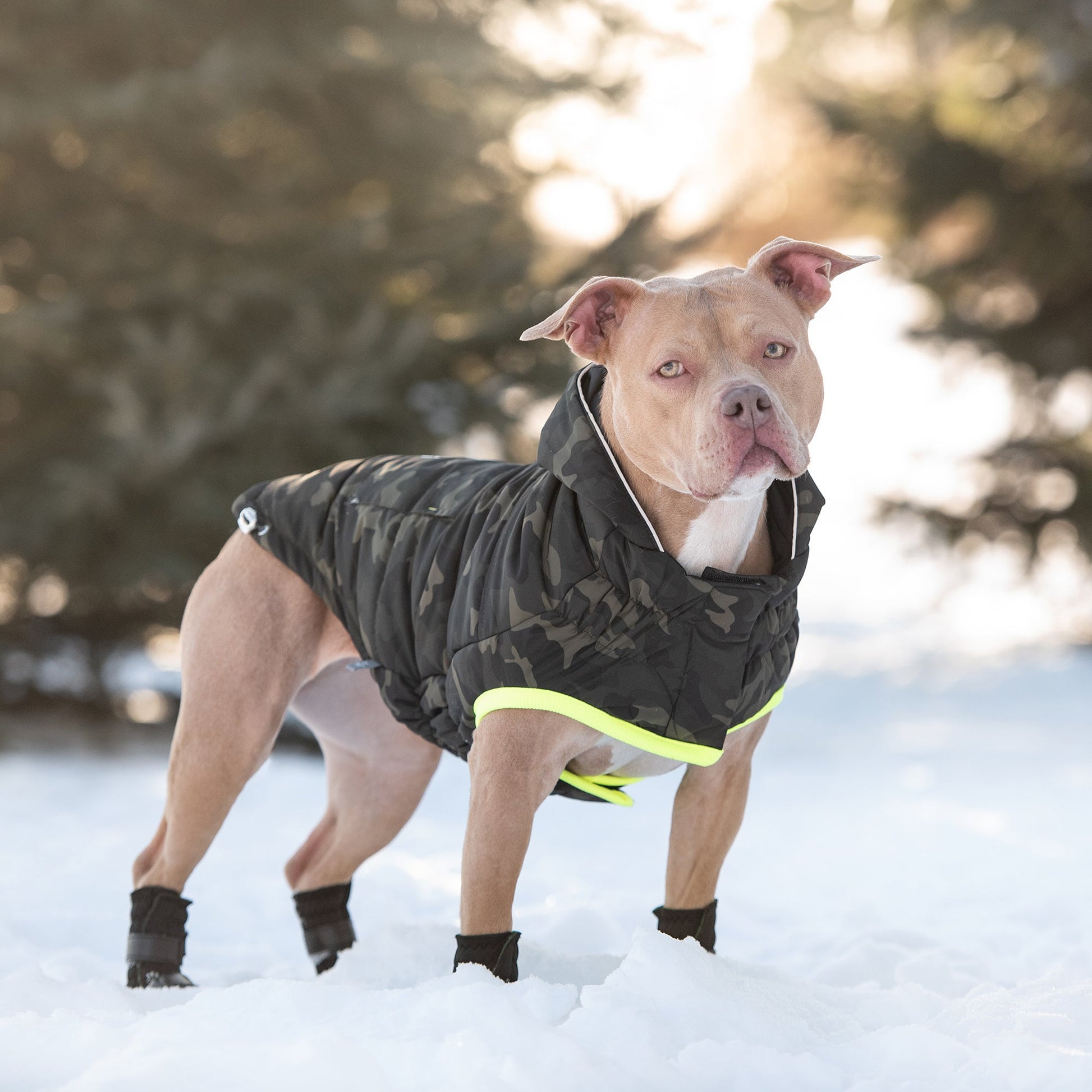 Recycled Parka - Camouflage - GreenPetGear
