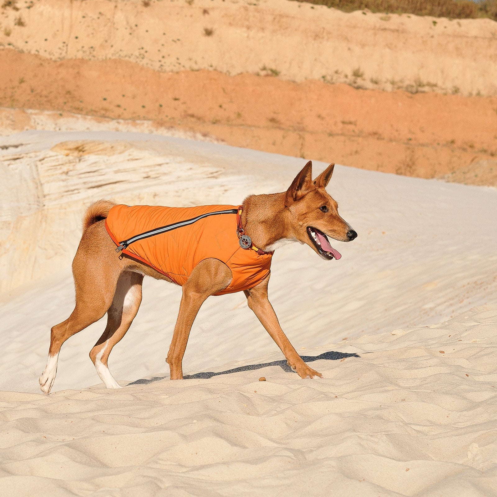 Sustainable Eco - Friendly Dog Jacket / Vest - GreenPetGear